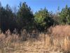 1752 Wilmington Hwy photo